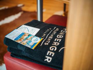 Apartments Hohenberger Mallnitz - im Winter Tauernbad und Sauna inklusive - kostenloses Bahnhofsshuttle bei An- und Abreise - 3