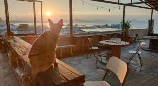Sattahiptale Boutique Guesthouse & Hostel -  - 7