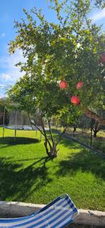 Villa ,,Sea Breeze,, - home by the sea - 9