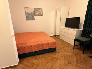 Modern Studio in Primaverii - 6