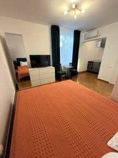 Modern Studio in Primaverii - 3