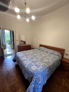 casina modesta - 7