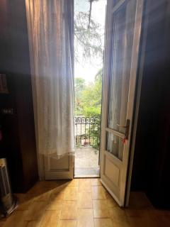casina modesta - 3