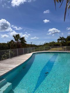 Aloes Apartment - Grand Case - Terrasse & Piscine - 4
