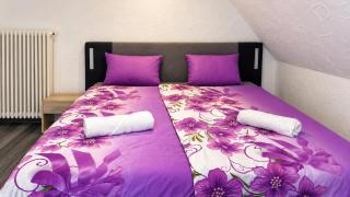 2 Zimmer Wohnung mit Küche und Terrasse - Offenburg - 1