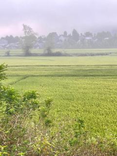 Nhà nghỉ ba tơ - 2