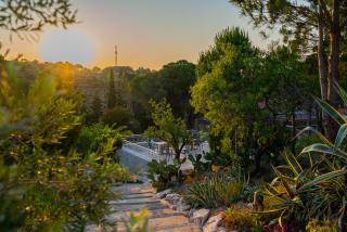 Kairos Valley Wellness & Longevity - 2