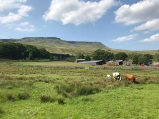 Aisgill Farm Stable - Uk48178 - 8