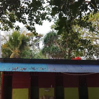 Dani homestay - 3