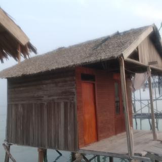 Dani homestay - 1