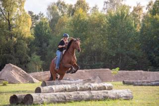 Weinzierl Horsemanship - 1