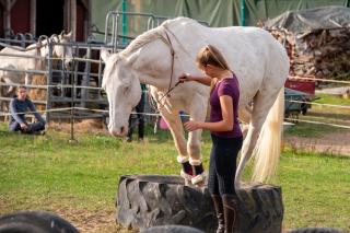 Weinzierl Horsemanship - 2