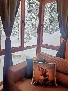 Alpine Apart Pamporovo - 2