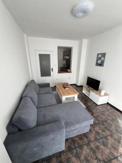 Sunny 1BR Apartment with Free street Parking - 9