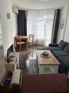 Sunny 1BR Apartment with Free street Parking - 8