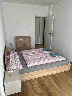 Sunny 1BR Apartment with Free street Parking - 3