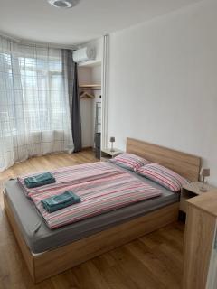 Sunny 1BR Apartment with Free street Parking - 2