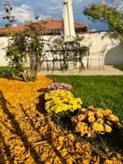 TÁNIN HOUSE - Three bedrooms, Jacuzzi and Sauna 10' away from Borovets - 5