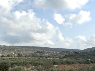 יורט אבשלום - ערגה ונועה בכליל - 9