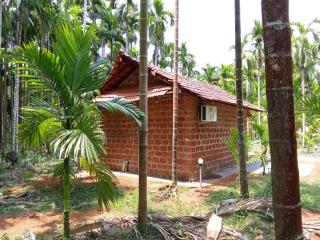Mandala Nature Stay - 6