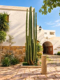 Les Voutes Blanches, maisonette atypique La Marsa - 8