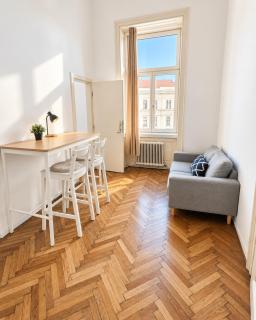 Huge Antik Apartment - Viena - 6