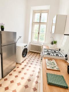 Huge Antik Apartment - Viena - 1
