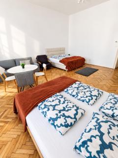 Huge Antik Apartment - Viena - 8