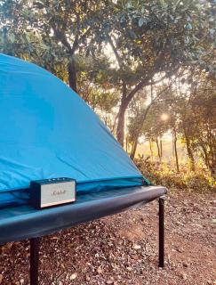 Hide out camps - 6