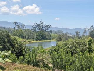panangala lake viwe lodge - 6