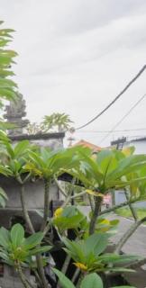 JOLA HOUSE Trendy&Cozy Studio Apart in Sanur Bali,No 2 - 8