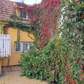 Golden House Apartments - 0