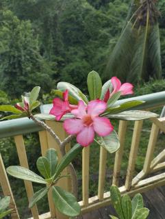 Villa Natirel - 2