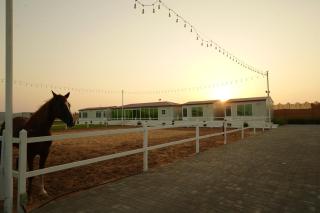 Hoof Stables & Farms - 7