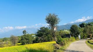 NorthSky Bir Homestay Sunset room with Snow Capped mountain views near landing Site Bir - 9