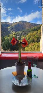 Gîtes chez Daniel "Appartement Cevennes" - 8