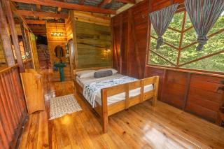 Utopia Jungle Retreat Full Home - 2