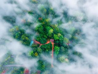 Coorg Humble nest resort Madikeri - Suntikoppa - 9