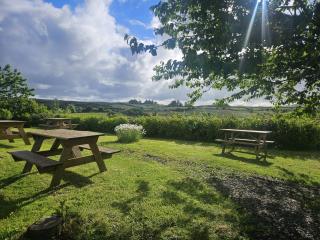 The Hedgerow Kilshanny - 7