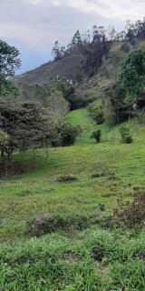 Escapada Rural a 90 minutos de Bogotá - 5