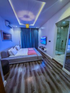 Exclusive apartment - 5