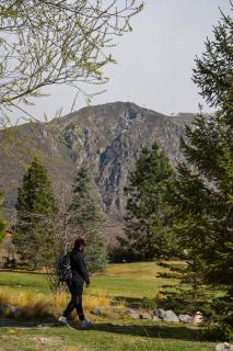 La Araucaria - 3