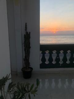 Artist's Beachfront Sanctuary - 3