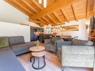 Pinzgau Lodge Felsener Wald 2F - 5