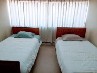2 Camas - Departamento - Avenida Principal Cusco - 0