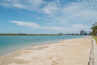 Waterfront Apt Maroochy River - 1
