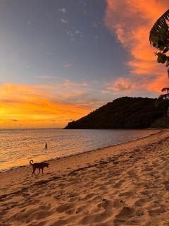White Sandy Beach Resort - 9