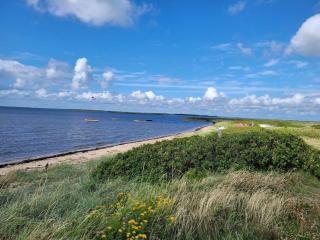 8 person holiday home in Hemmet - 3