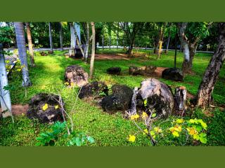 Hotel Tree Garden Wilpaththu Nochchiyagma Anuradhapura - 2