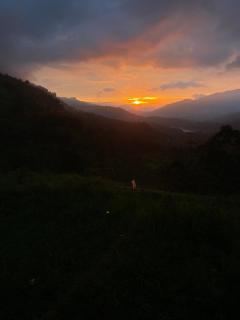Aradya eco resort - 6